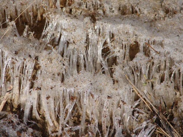 b0061261_2215589.jpg