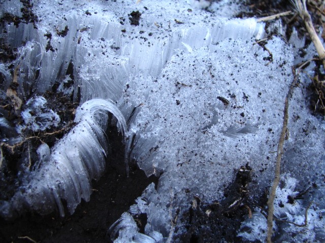 b0061261_2216995.jpg