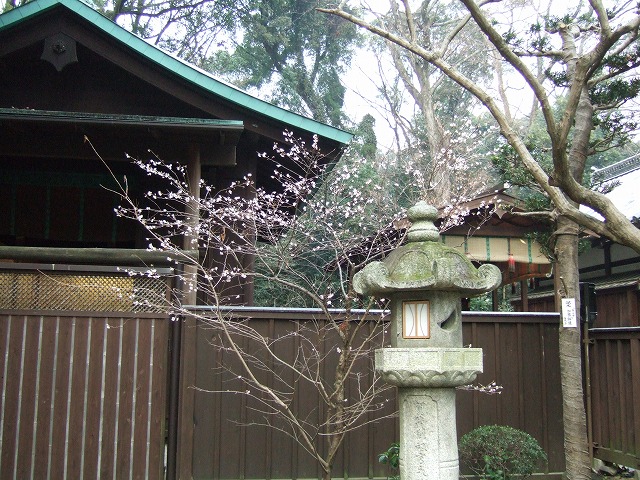 f0107262_18155221.jpg