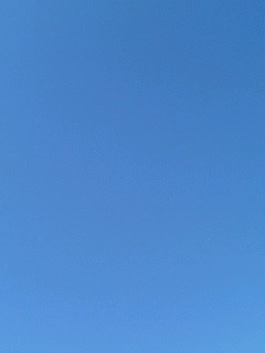 f0006565_922833.jpg