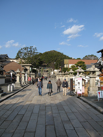 c0104371_113931.jpg