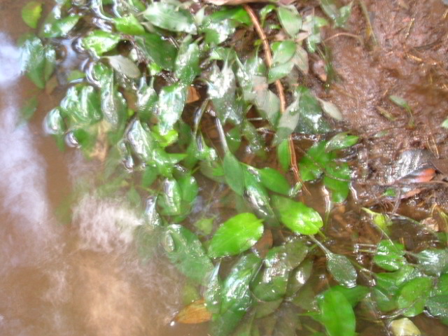 a0067578_0135100.jpg