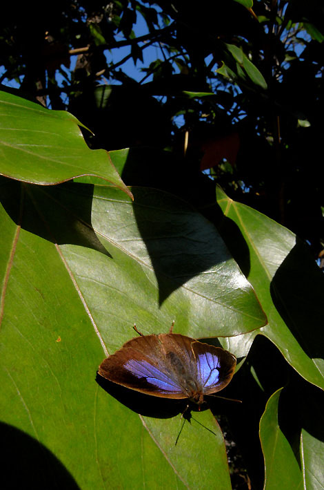 f0090680_21294483.jpg