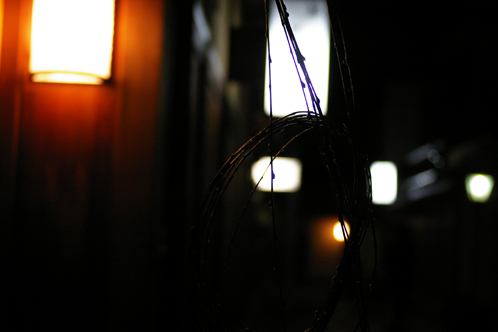 b0080789_216550.jpg