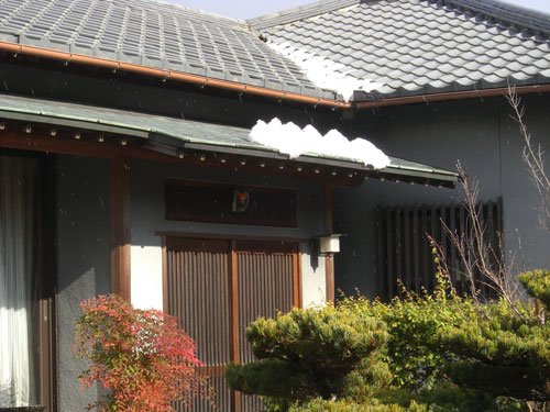 d0133489_20292337.jpg