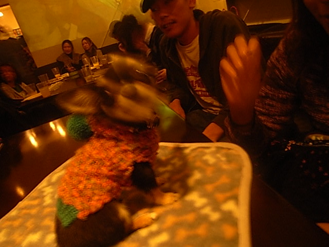 f0146989_18373886.jpg