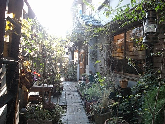 c0107392_239175.jpg