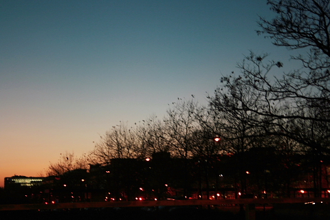 f0093592_15395241.jpg