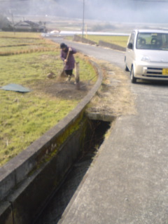 f0070493_1410871.jpg