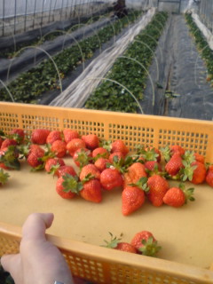 f0070493_14114117.jpg