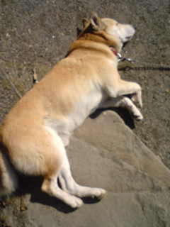 f0070493_1471671.jpg