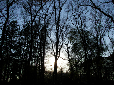 d0045295_16444969.jpg