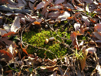 d0045295_16534678.jpg