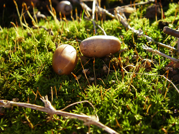 d0045295_16555422.jpg