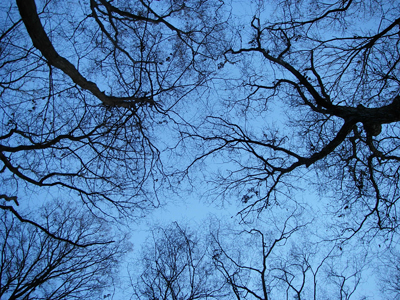 d0045295_16595799.jpg