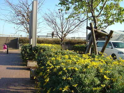 f0155795_14423289.jpg