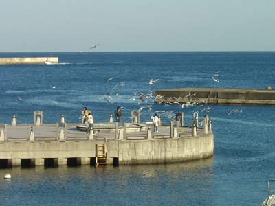 f0155795_14432922.jpg
