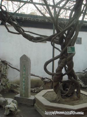 e0122097_1932497.jpg