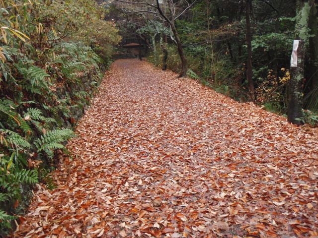 b0039898_20403325.jpg