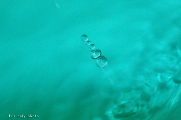 e0008800_22444646.jpg