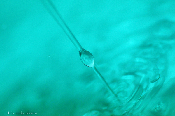 e0008800_22451598.jpg