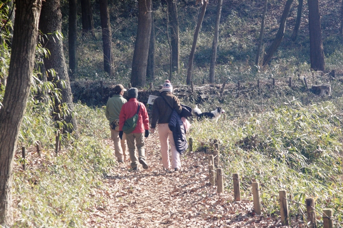 f0034602_20475991.jpg