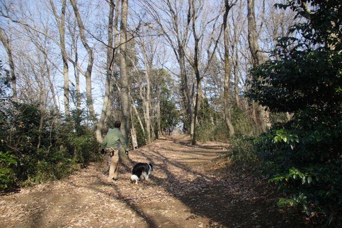 f0034602_20492933.jpg