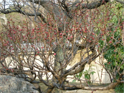 c0036203_2055169.jpg