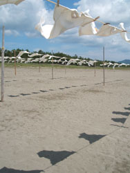 f0048405_10142241.jpg