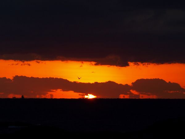 d0129108_949667.jpg