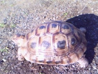 c0128710_1737324.jpg
