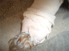 c0143711_21552437.gif