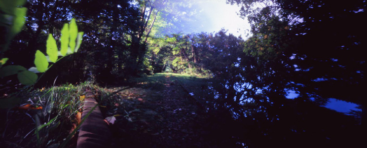 c0016712_05276.jpg