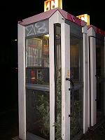 f0157115_1836137.jpg