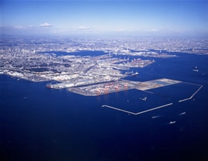 e0125217_8123813.jpg