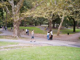 e0016120_11415354.jpg