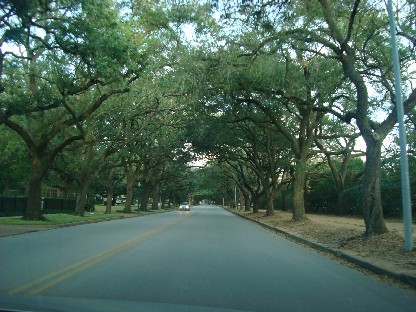 f0006724_312419.jpg