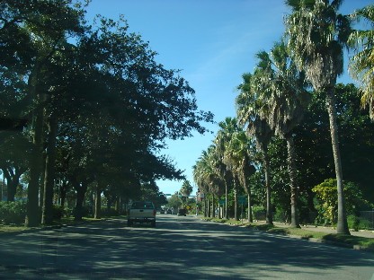 f0006724_53575.jpg