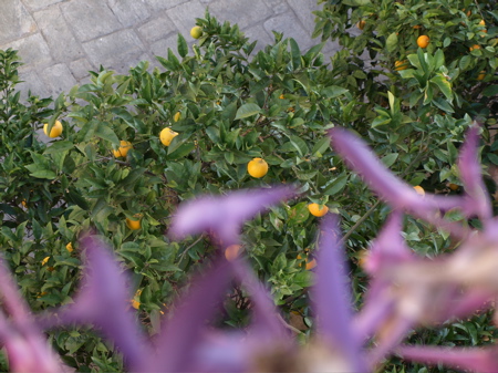c0157625_15544384.jpg