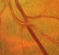 f0088231_2011349.jpg
