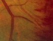 f0088231_2011693.jpg