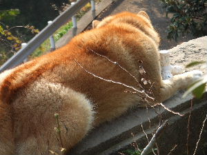 a0054240_051575.jpg