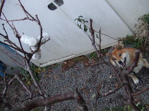 a0054240_063546.jpg