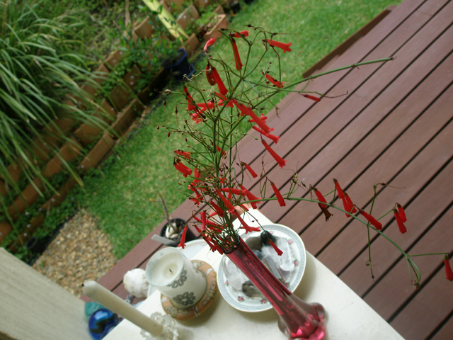 c0140843_2385593.jpg