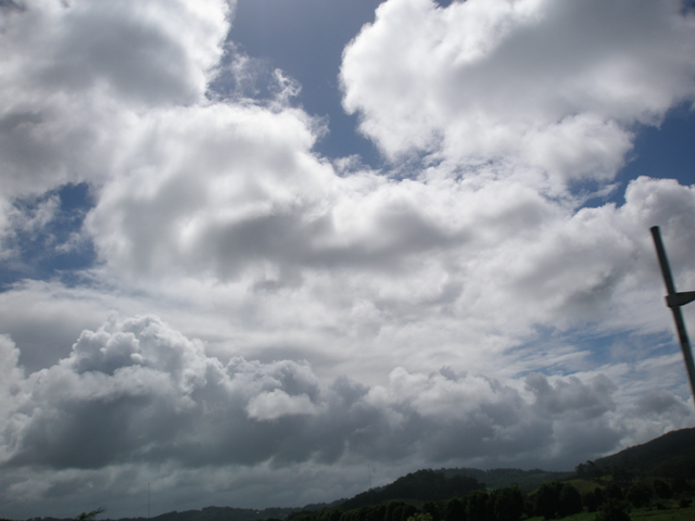 c0140843_2392442.jpg