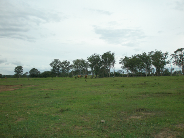 c0140843_240756.jpg