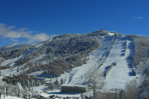 b0001947_20285022.jpg
