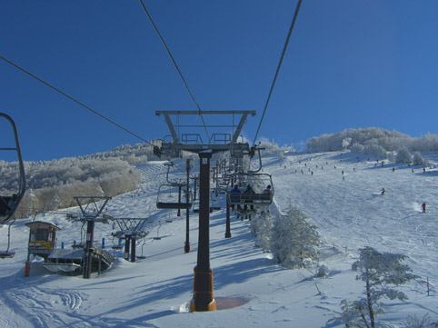 b0001947_20294715.jpg
