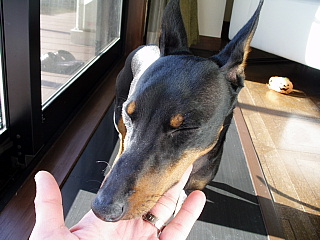 c0123149_1482493.jpg