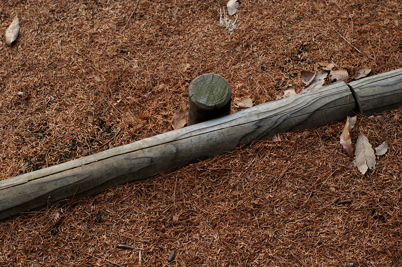 d0100156_20135863.jpg